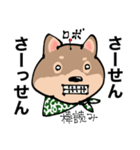 感じの悪い柴犬（個別スタンプ：8）