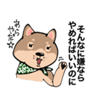 感じの悪い柴犬（個別スタンプ：11）