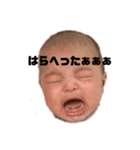 成田兄弟（個別スタンプ：1）