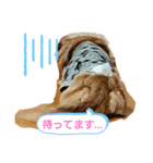 ミニチュアダックスもも（個別スタンプ：7）