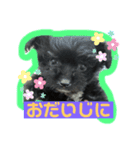 とうしろうスタンプ（個別スタンプ：3）