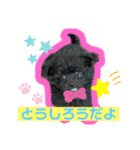 とうしろうスタンプ（個別スタンプ：4）