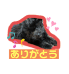 とうしろうスタンプ（個別スタンプ：7）
