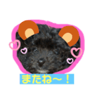 とうしろうスタンプ（個別スタンプ：16）