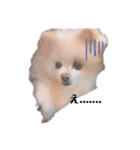 愛犬ららのスタンプ（個別スタンプ：2）