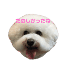 ソラト③（個別スタンプ：1）
