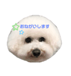ソラト③（個別スタンプ：2）