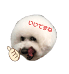 ソラト③（個別スタンプ：3）