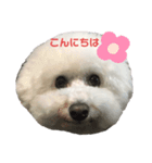 ソラト③（個別スタンプ：4）
