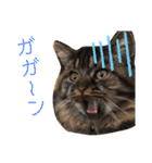 クウもこスタンプ3（個別スタンプ：4）