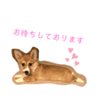 クウもこスタンプ3（個別スタンプ：7）