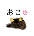 クウもこスタンプ3（個別スタンプ：27）