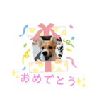 クウもこスタンプ3（個別スタンプ：29）