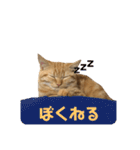 ぼく、むぎ。2（個別スタンプ：23）