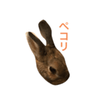 マロンのつぶやき3（個別スタンプ：5）
