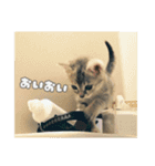 ゆうたろうのやつ2（個別スタンプ：1）