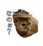 ゆうたろうのやつ2（個別スタンプ：3）