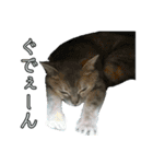 ゆうたろうのやつ2（個別スタンプ：5）