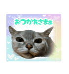 ゆうたろうのやつ2（個別スタンプ：6）