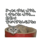 ゆうたろうのやつ2（個別スタンプ：7）