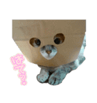 ゆうたろうのやつ2（個別スタンプ：9）