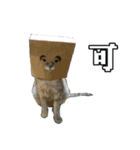 ゆうたろうのやつ2（個別スタンプ：10）