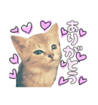 ゆうたろうのやつ2（個別スタンプ：12）