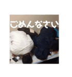 ONISENS！ ver2（個別スタンプ：18）