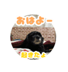 ビビのすたんぷ。（個別スタンプ：1）