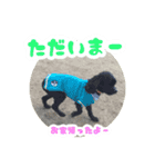 ビビのすたんぷ。（個別スタンプ：4）