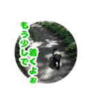 ビビのすたんぷ。（個別スタンプ：5）