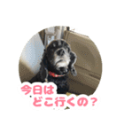 ビビのすたんぷ。（個別スタンプ：6）