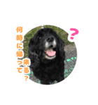 ビビのすたんぷ。（個別スタンプ：7）