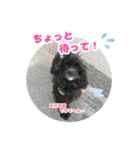 ビビのすたんぷ。（個別スタンプ：8）