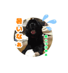 ビビのすたんぷ。（個別スタンプ：9）