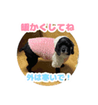 ビビのすたんぷ。（個別スタンプ：10）