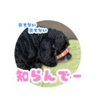 ビビのすたんぷ。（個別スタンプ：12）