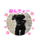 ビビのすたんぷ。（個別スタンプ：13）