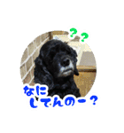 ビビのすたんぷ。（個別スタンプ：14）