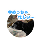 ビビのすたんぷ。（個別スタンプ：15）
