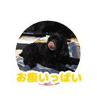 ビビのすたんぷ。（個別スタンプ：17）