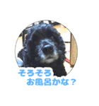 ビビのすたんぷ。（個別スタンプ：18）