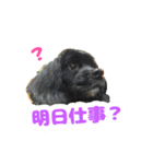 ビビのすたんぷ。（個別スタンプ：20）