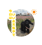 ビビのすたんぷ。（個別スタンプ：21）