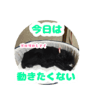 ビビのすたんぷ。（個別スタンプ：22）