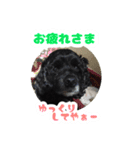 ビビのすたんぷ。（個別スタンプ：23）