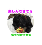 ビビのすたんぷ。（個別スタンプ：24）