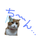 チャミ日和 その5（個別スタンプ：5）