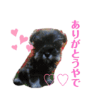 ゆりじら2（個別スタンプ：1）