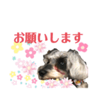 ゆりじら2（個別スタンプ：3）